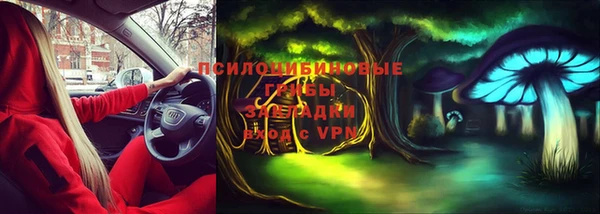 эйфоретик Касимов