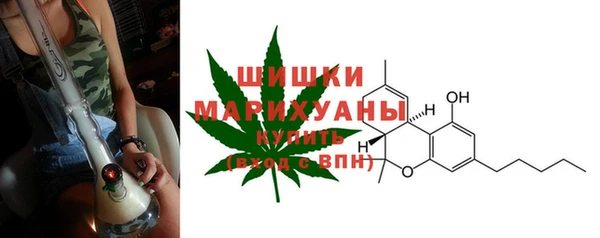 эйфоретик Касимов