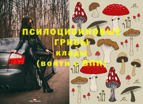 эйфоретик Касимов