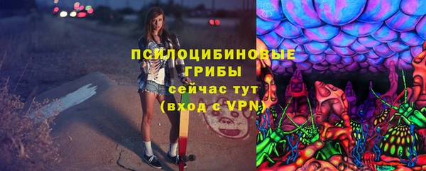 эйфоретик Касимов