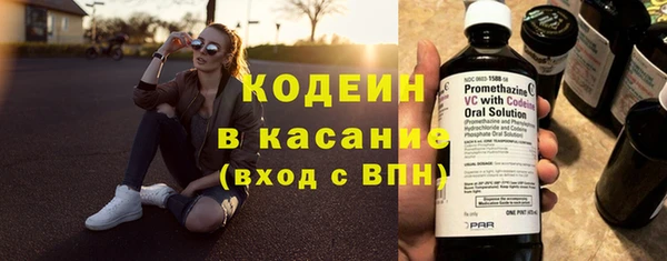 твердый Карпинск
